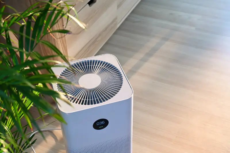 Air Purification