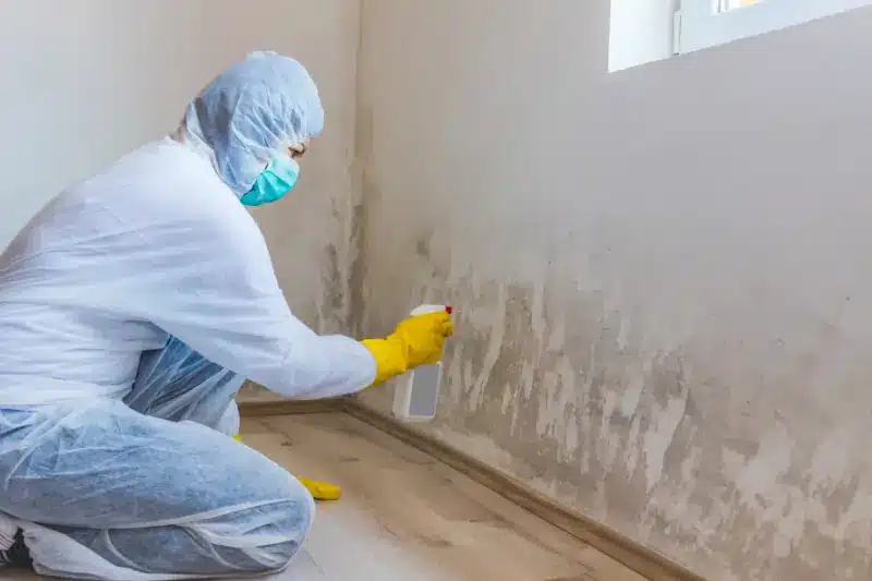 Eliminating Moisture and Humidity