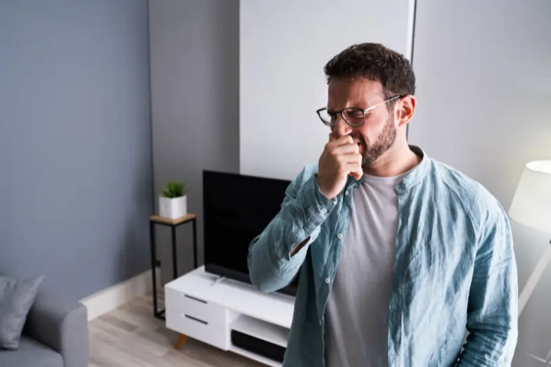 How to Get Rid of Old Home Smell in FL Effective Strategies That Work